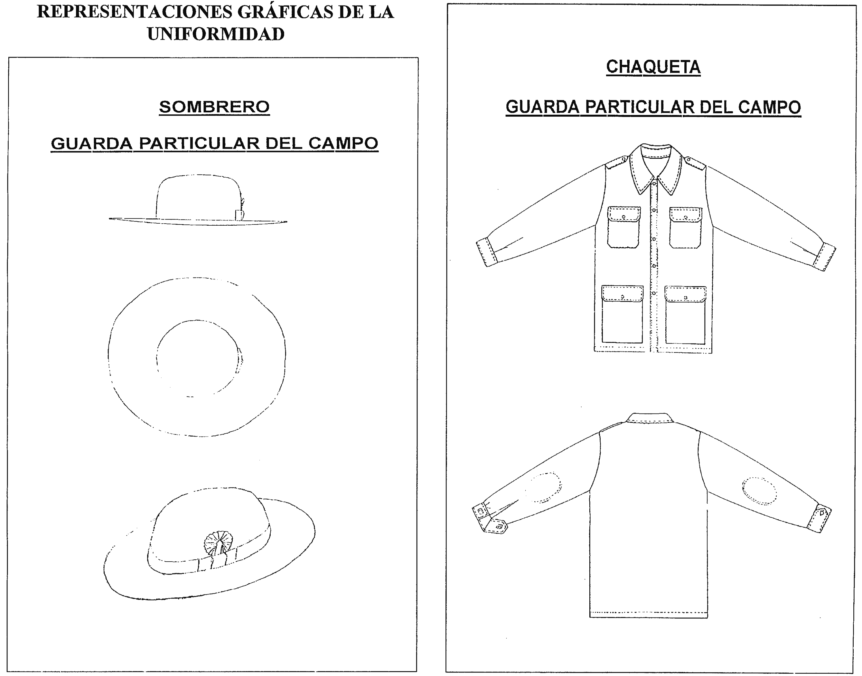 Imagen: /datos/imagenes/disp/1999/24/02044_7869495_image1.png