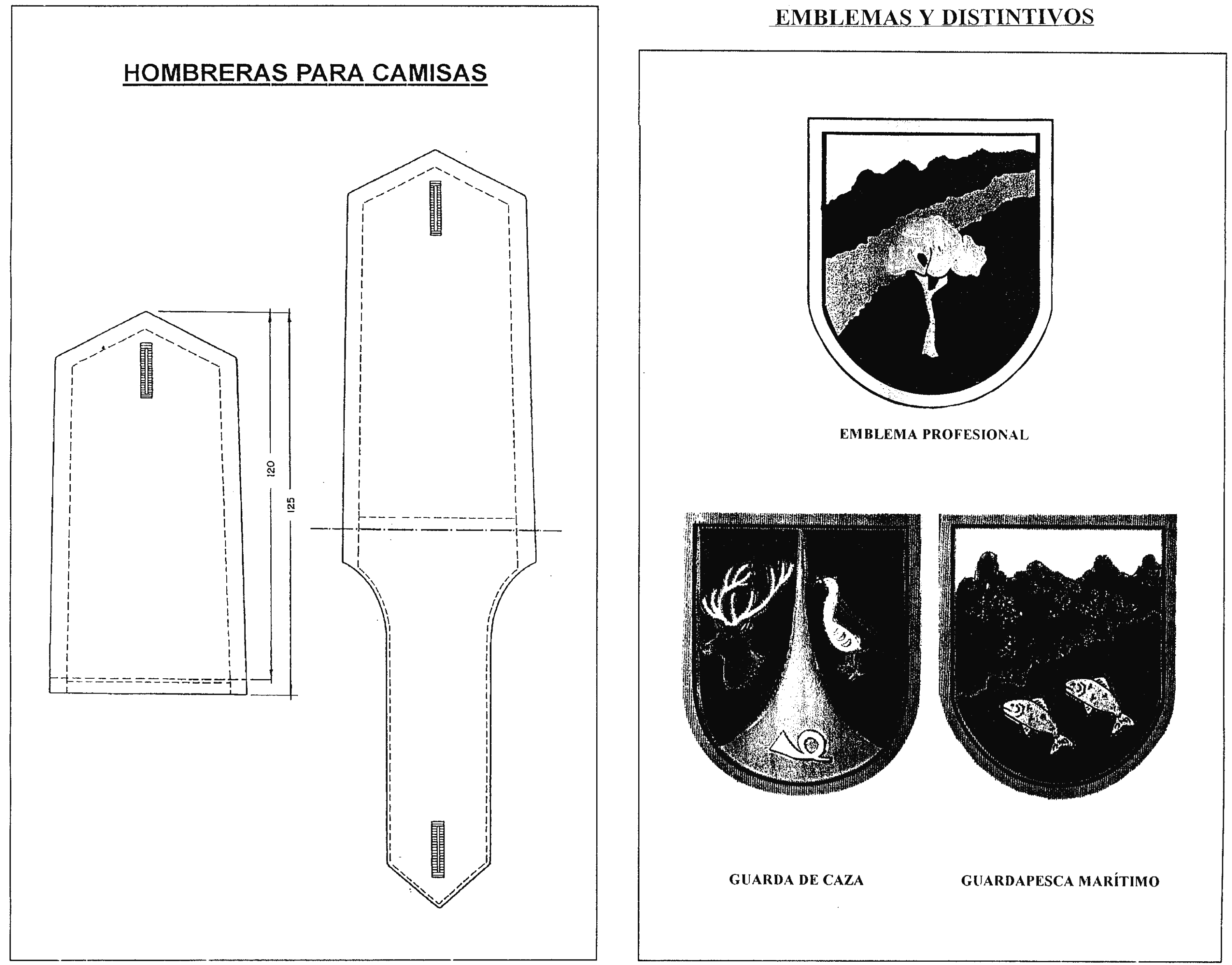 Imagen: /datos/imagenes/disp/1999/24/02044_7869495_image9.png