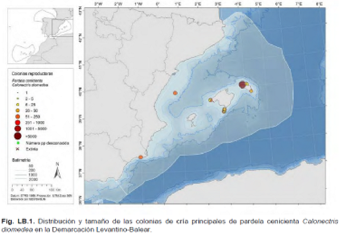 Imagen: /datos/imagenes/disp/2022/75/4961_11335885_1.png