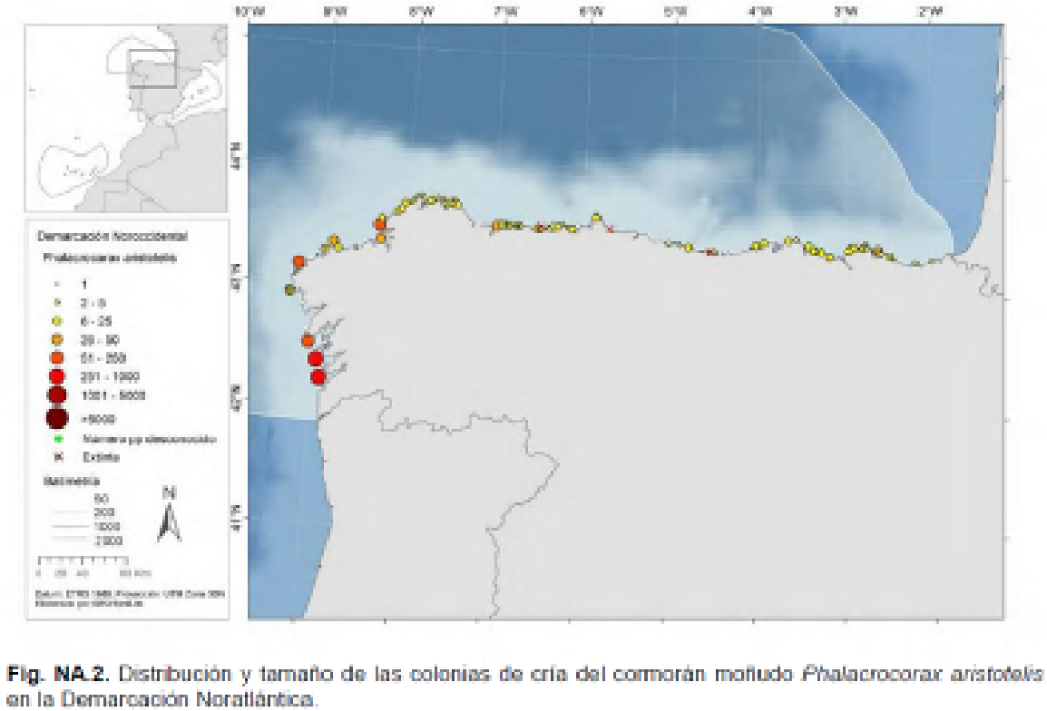 Imagen: /datos/imagenes/disp/2022/75/4961_11336491_1.png