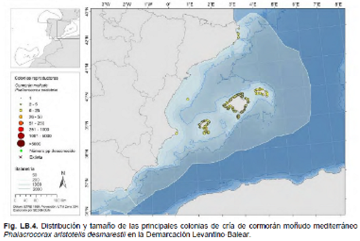 Imagen: /datos/imagenes/disp/2022/75/4961_11336492_1.png