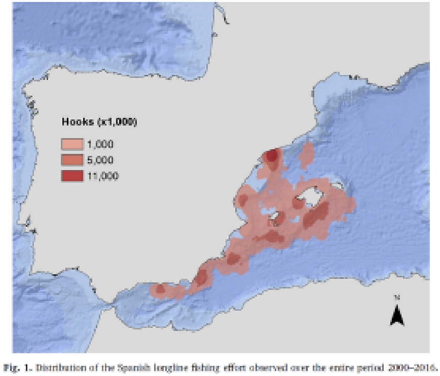 Imagen: /datos/imagenes/disp/2022/75/4961_11338237_1.png